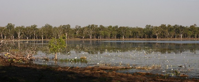 Billabong bij het hotel