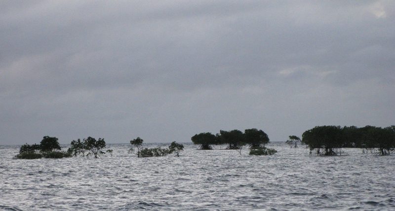 Low Islet
