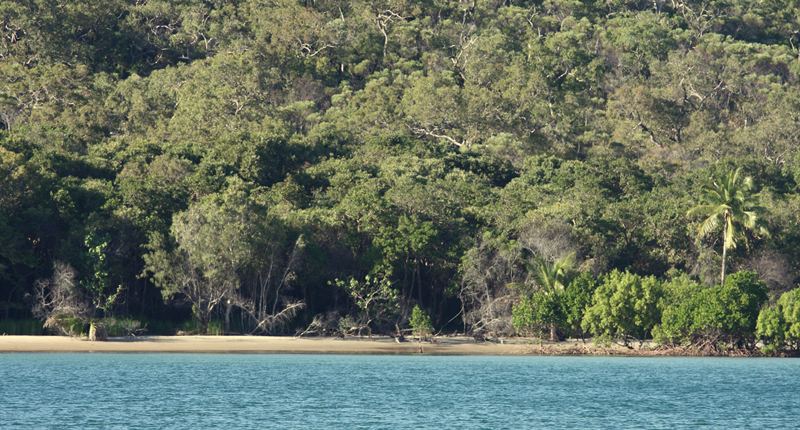 Cape Flattery strand