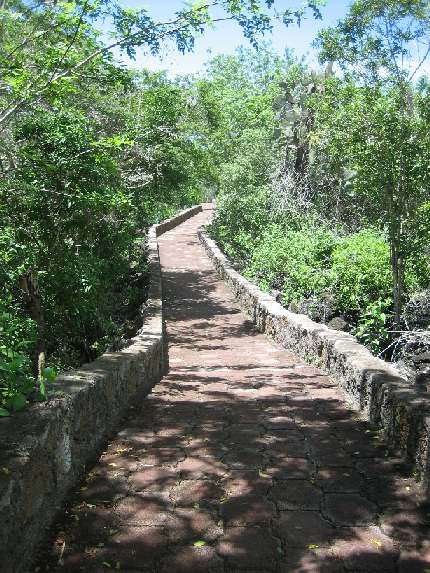 pad naar tortuga baai